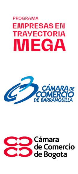 BannerVertical-Trayectoria-MEGA